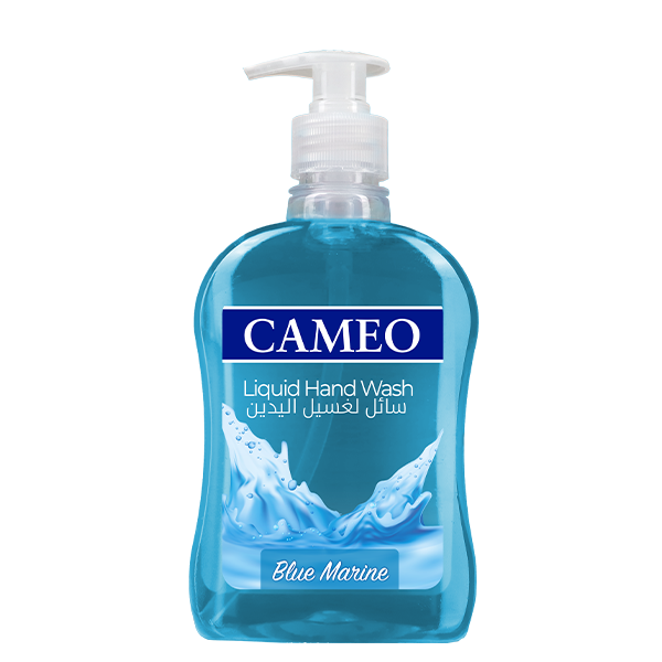 CAMEO LHW 500ML BLUE